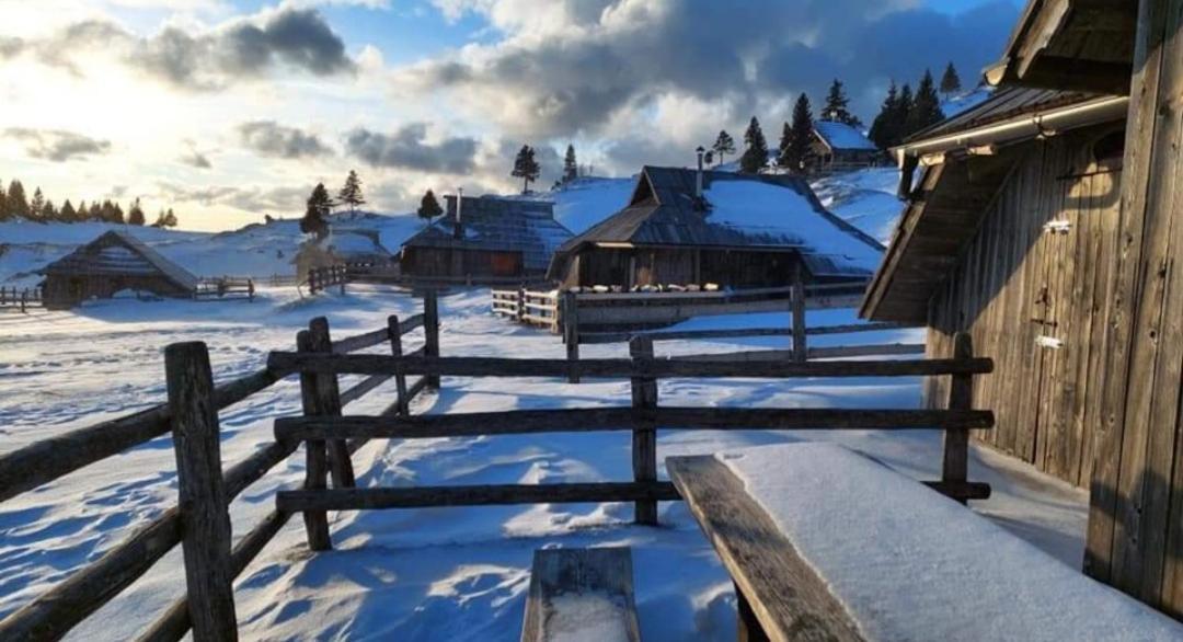 Apartma Tanja -Kamnik Exteriör bild